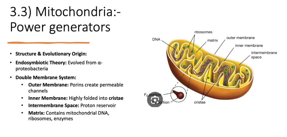 Pre-med preparation 1