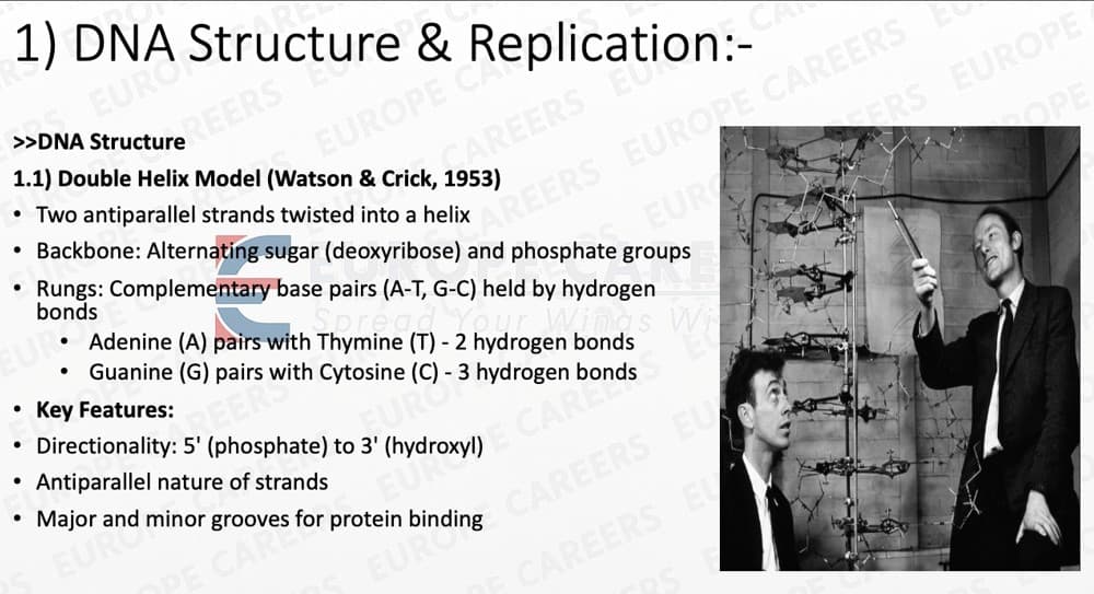 Pre-med preparation 2