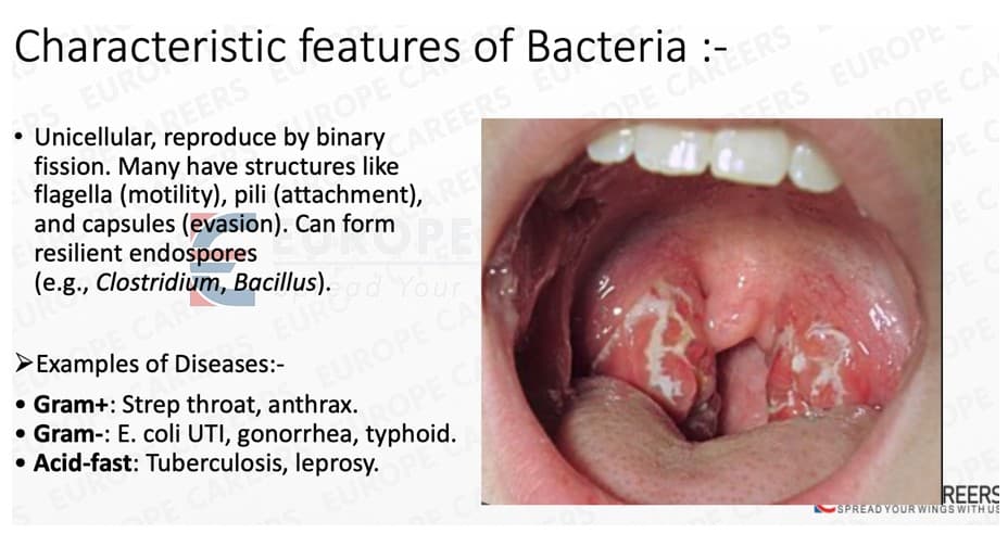 Pre-med preparation 5